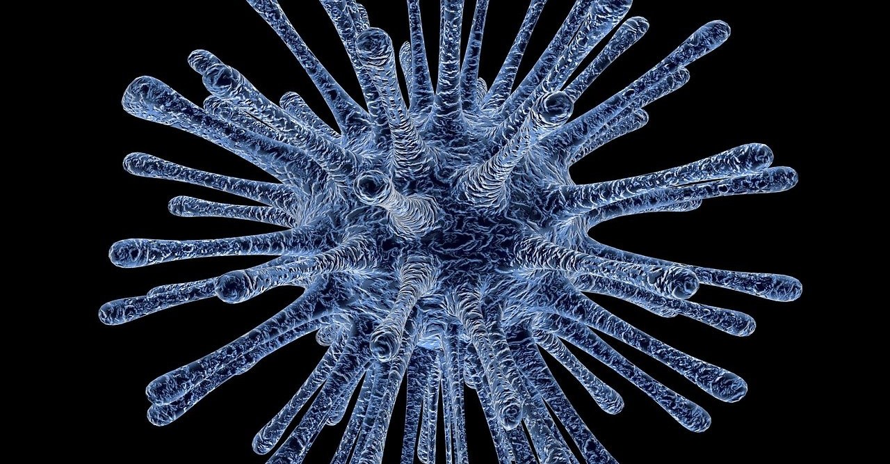 virus-213708_1280