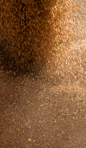 composés-pulvérulent-EMA