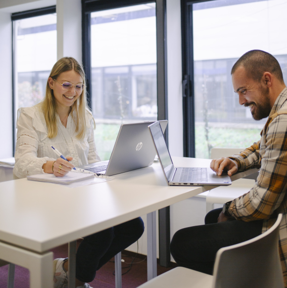 Deux experts de Subrenat travaillent ensemble 